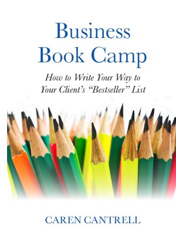 Business Book Camp Cover