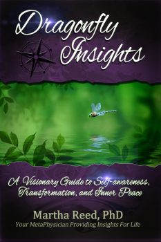 DragonFly-Insights final front cover